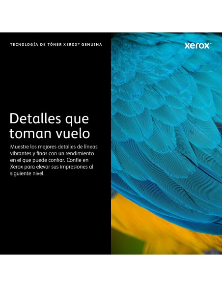 Xerox Cartucho de tóner negro de capacidad normal para Phaser 6600 WorkCentre 6605 (3000 páginas)