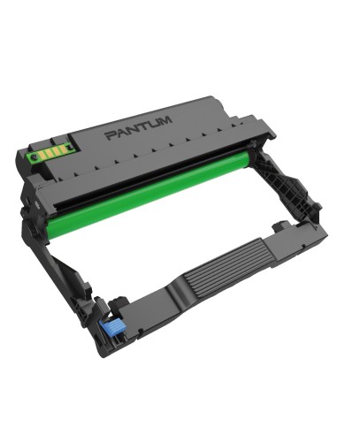 Pantum DL-A4201 tambor de impresora Original 1 pieza(s)