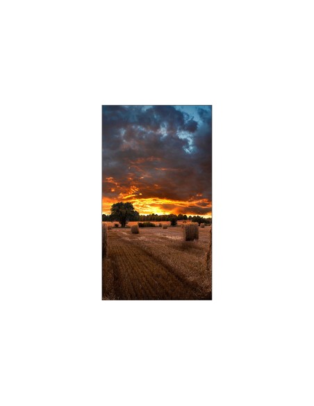 Samsung VM55B-U LED Interior