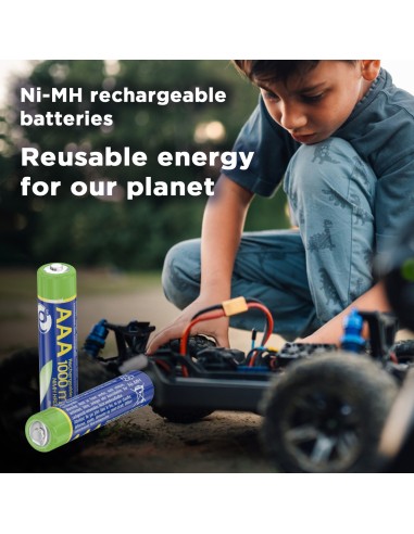 EnerGenie EG-BA-AAA10-01 pila doméstica Batería recargable AAA Níquel-metal hidruro (NiMH)