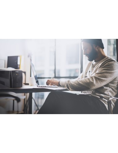 Gembird EG-UPS-B650 sistema de alimentación ininterrumpida (UPS) Línea interactiva 0,65 kVA 390 W