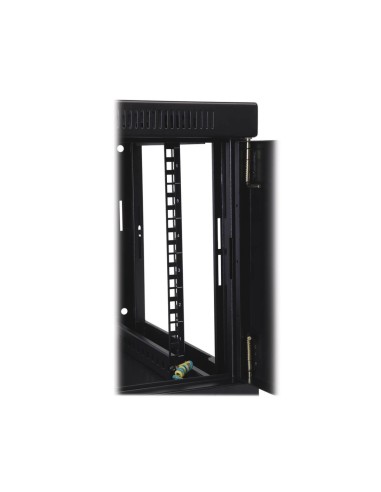 Tripp Lite SRW6UG Gabinete Smartrack 6U de Bajo Perfil con Ajuste de Profundidad A La Altura del Interruptor para Instalación