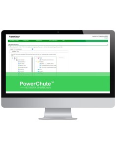 APC SWPCNS1Y-DIGI licencia y actualización de software Inglés 1 año(s)