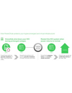 APC SWPCNS3Y-DIGI licencia y actualización de software Inglés 3 año(s) 2