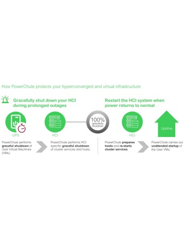 APC SWPCNS3Y-DIGI licencia y actualización de software Inglés 3 año(s)