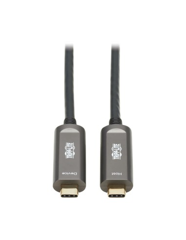 Tripp Lite U420F-10M-D321 cable USB USB 3.2 Gen 2 (3.1 Gen 2) USB C Negro, Gris