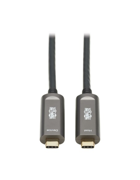 Tripp Lite U420F-10M-D321 cable USB USB 3.2 Gen 2 (3.1 Gen 2) USB C Negro, Gris