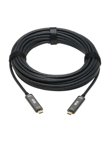 Tripp Lite U420F-10M-D321 cable USB USB 3.2 Gen 2 (3.1 Gen 2) USB C Negro, Gris