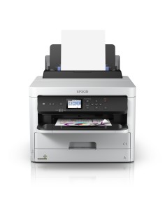 Epson DURABrite Pro 2