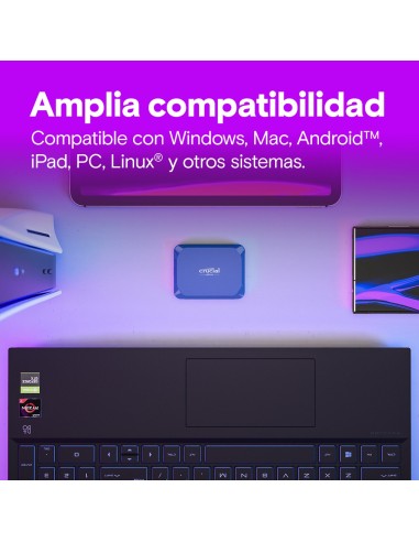 Crucial X10 1 TB USB Tipo C USB 3.2 Gen 2x2 Azul
