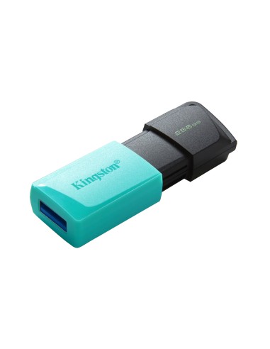 Kingston Technology DataTraveler 256GB USB3.2 Gen1 Exodia M (Negro + Turquesa)