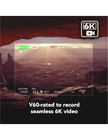 Lexar LSDAMGL512G 512 GB SDXC UHS-II