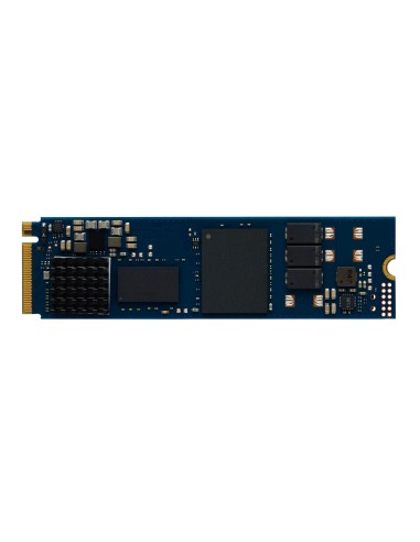 Kingston Technology 480G DC2000B PCIe 4.0 M.2 2280 Enterprise SSD