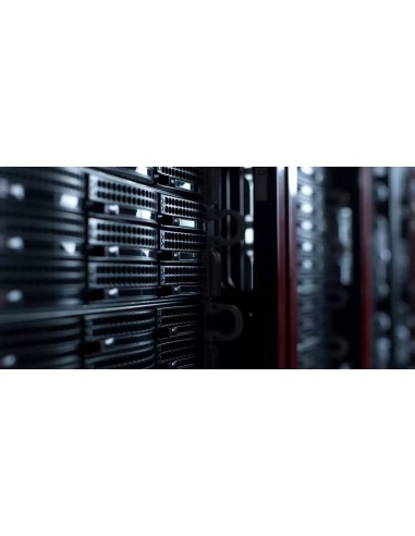 Western Digital Red WD142KFGX disco duro interno 14 TB 7200 RPM 512 MB 3.5" Serial ATA III