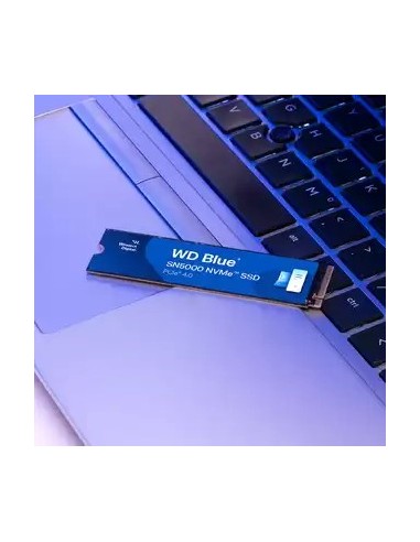 Western Digital WDS200T4B0E unidad de estado sólido 2 TB M.2 PCI Express 4.0 NVMe