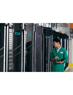 HPE ProLiant DL3X5 Gen11 Smart Storage Battery 2P 96W Cable Kit