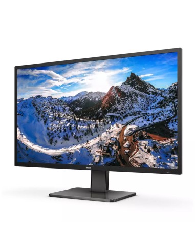 Philips P Line 439P1 00 pantalla para PC 108 cm (42.5") 3840 x 2160 Pixeles 4K Ultra HD LCD Negro