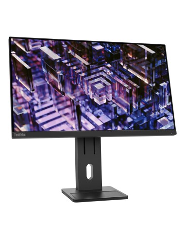 Lenovo ThinkVision E24q-30 Monitor
