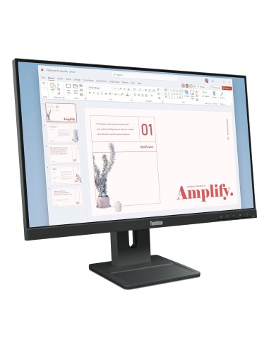 Lenovo ThinkVision E24-40 Monitor