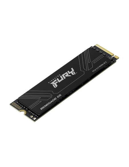 Kingston Technology 1T FURY RENEGADE G5 M.2 2280 NVMe SSD