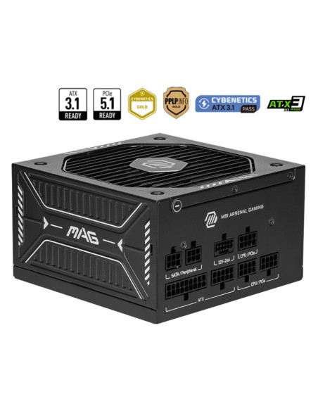 MSI MAG A750GLS PCIE5 unidad de fuente de alimentación 750 W 24-pin ATX ATX Negro
