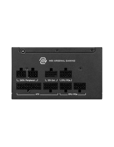 MSI MAG A750GLS PCIE5 unidad de fuente de alimentación 750 W 24-pin ATX ATX Negro
