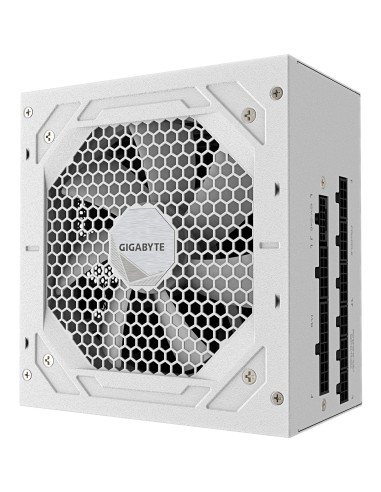 GIGABYTE UD1000GM PG5 V2 ICE Fuente de Alimentación