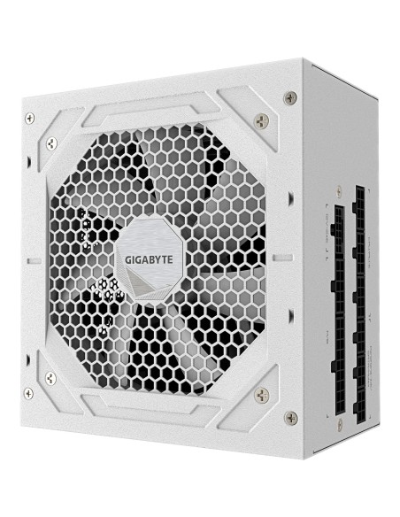 GIGABYTE UD750GM PG5 V2 ICE Fuente de Alimentación