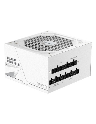 GIGABYTE UD750GM PG5 V2 ICE Fuente de Alimentación