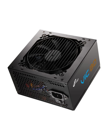 FSP VIC BD 550W Unidad de fuente de alimentación ATX ATX3.1 Negro