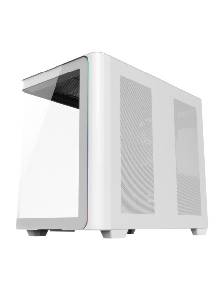 FSP M580-WP Plus Carcasa Midi Tower mITX, mATX Blanco ARGB