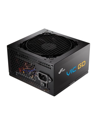 FSP VIC GD 650W Unidad de fuente de alimentación ATX ATX3.1 Negro