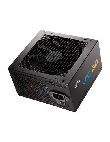FSP VIC GD 650W Unidad de fuente de alimentación ATX ATX3.1 Negro