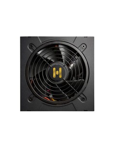 FSP Hydro GT PRO 1000W unidad de fuente de alimentación 24-pin ATX ATX Negro 2