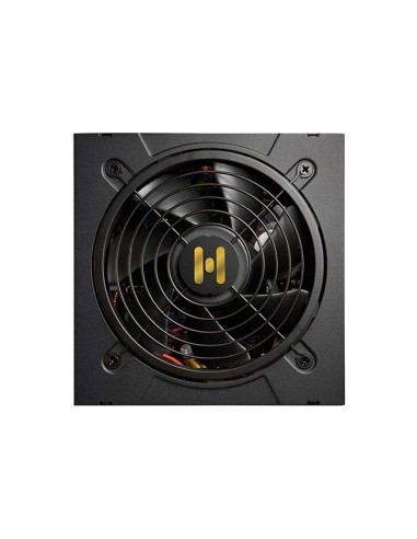 FSP Hydro GT PRO 1000W unidad de fuente de alimentación 24-pin ATX ATX Negro