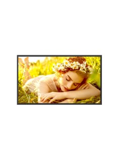 LG 32UL5Q-M pantalla de señalización Pantalla plana para señalización digital 81,3 cm (32") LCD Wifi 500 cd   m² 4K Ultra HD