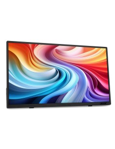 Acer PM161QT Monitor portátil Negro 39,6 cm (15.6") LCD 1920 x 1080 Pixeles 2